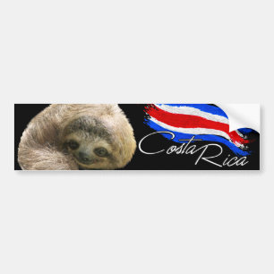 Pegatina Para Coche Costa Rica Sloth