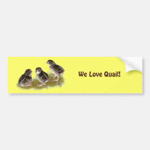 Pegatina Para Coche Coturnix Quail Chicks