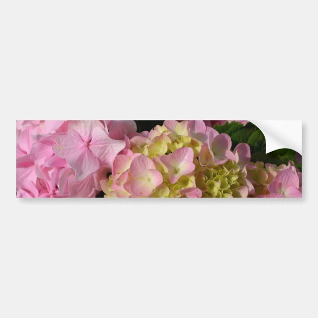 Pegatina Para Coche Crema rosa Hydrangeas amarillo rosa verde floral (Frente)