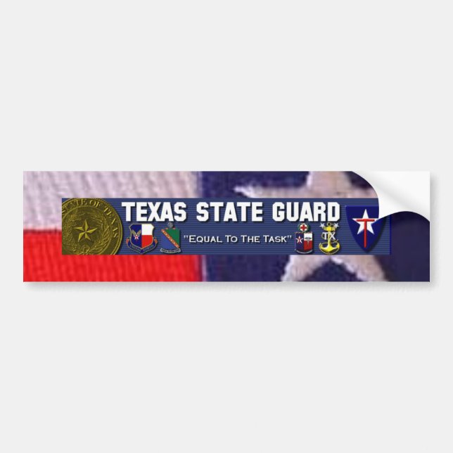 Pegatina Para Coche Cuadrado de la bandera de TX, licencia plt de TXSG (Frente)