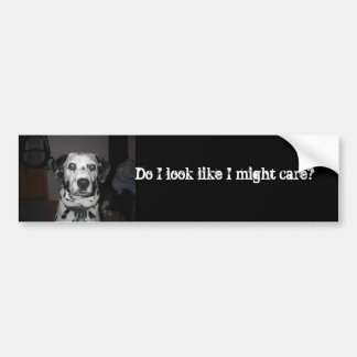 Pegatina Para Coche Cuidado de los Dalmatians