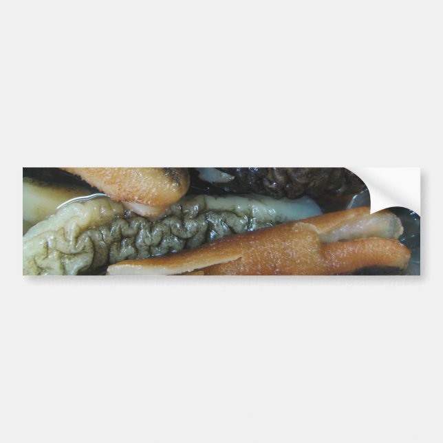 Pegatina Para Coche Cupepino marino... Comida del mercado de Yaowarat (Frente)