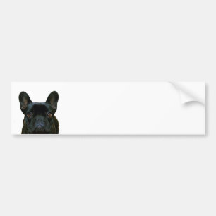 Pegatina Para Coche Cute Black French Bulldog Frenchie Fotografía: