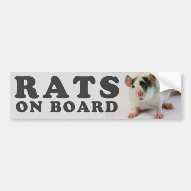 Pegatina Para Coche (Cute) Ratas él board (Frente)