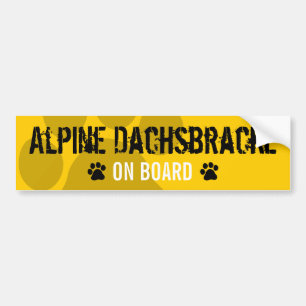 Pegatina Para Coche Dachsbracke alpino a bordo