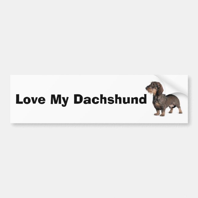 Pegatina Para Coche Dachshund (Frente)