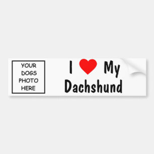Pegatina Para Coche Dachshund