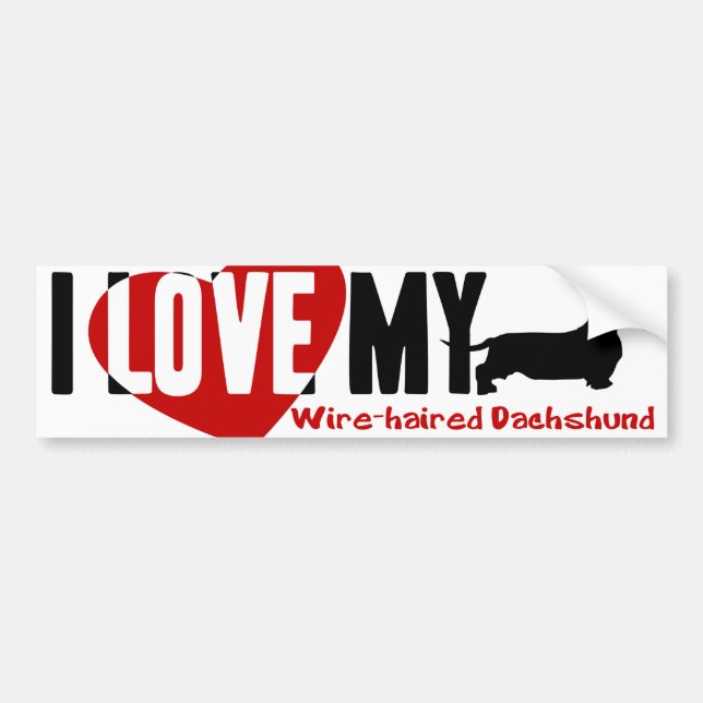 Pegatina Para Coche Dachshund [Alambre-haired] (Frente)