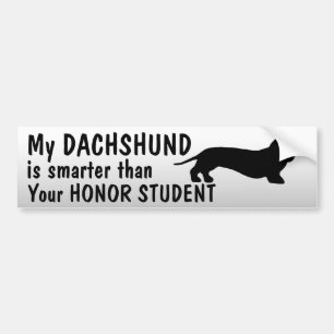 Pegatina Para Coche Dachshund - más elegante que estudiante del honor