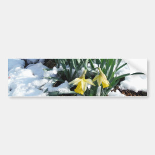 Pegatina Para Coche Dafpies amarillos en la nieve
