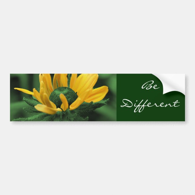 Pegatina Para Coche Daisy Be Different Motivational Bumper Sticker (Frente)