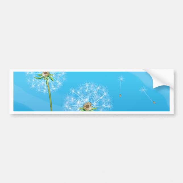 Pegatina Para Coche Dandelion (Frente)