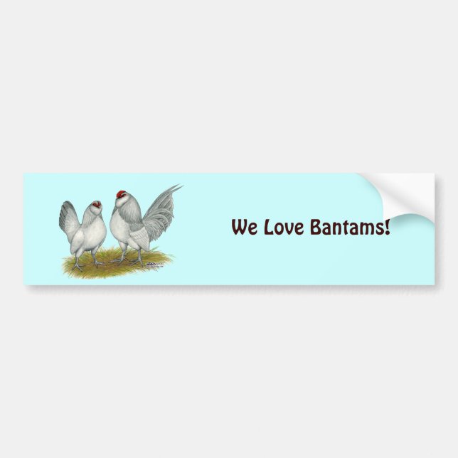 Pegatina Para Coche D'Anvers Self Blue Bantams (Frente)