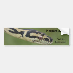 Pegatina Para Coche DARWIN2, Herpetologists, lo hacen en el verano