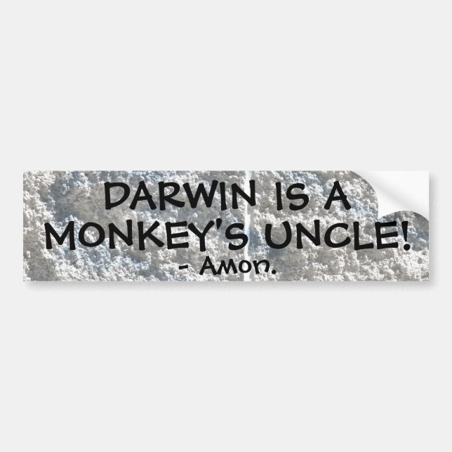 Pegatina Para Coche ¡Darwin es el tío de un mono! (Frente)