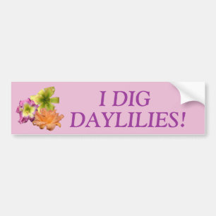 Pegatina Para Coche Deg Daylilies