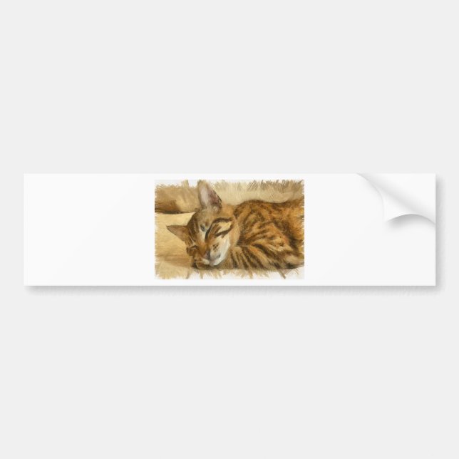 Pegatina Para Coche Dejar que los gatos duerman como un boceto de lápi (Frente)