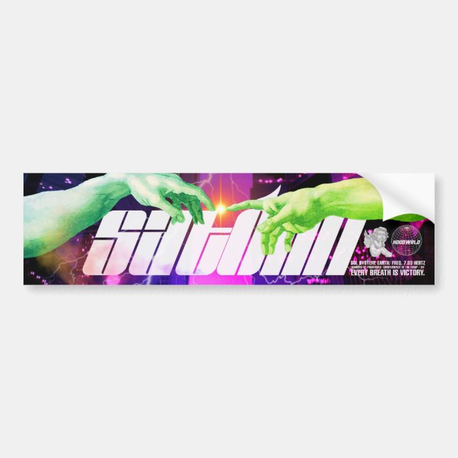 Pegatina Para Coche deportes de motor satomi "2do contacto" (Frente)