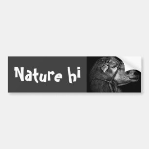 Pegatina Para Coche derecho siguiente