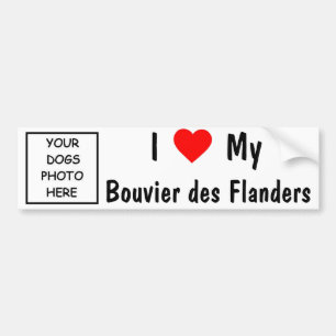 Pegatina Para Coche DES Flandes de Bouvier