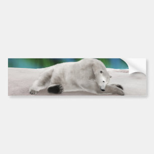 Pegatina Para Coche Desangramiento del oso polar