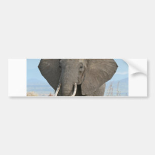 Pegatina Para Coche Destinos de animales de la jungla africana Safari