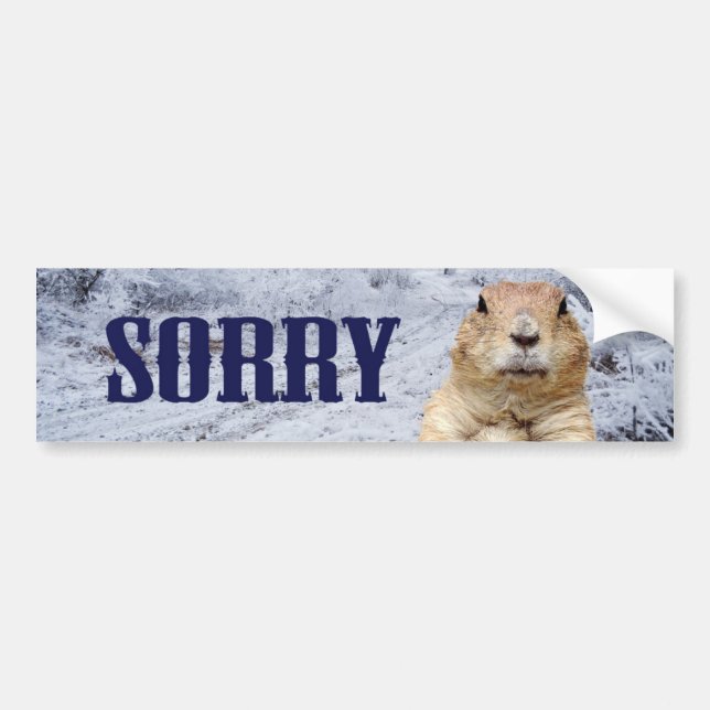 Pegatina Para Coche Día de la Marmota (Frente)
