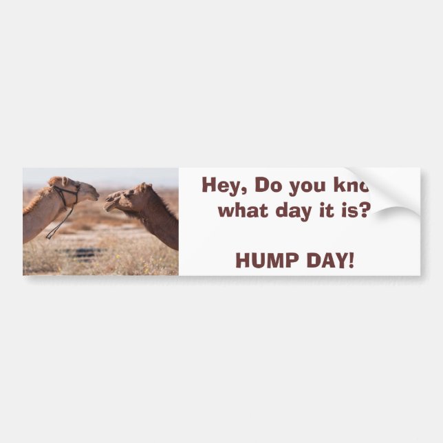 Pegatina Para Coche Día del Hump (Frente)