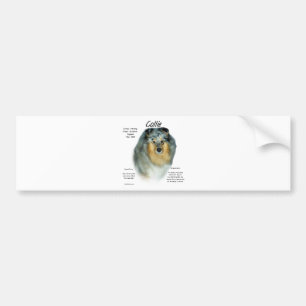 Pegatina Para Coche Diseño de historial de Collie (en bruto)