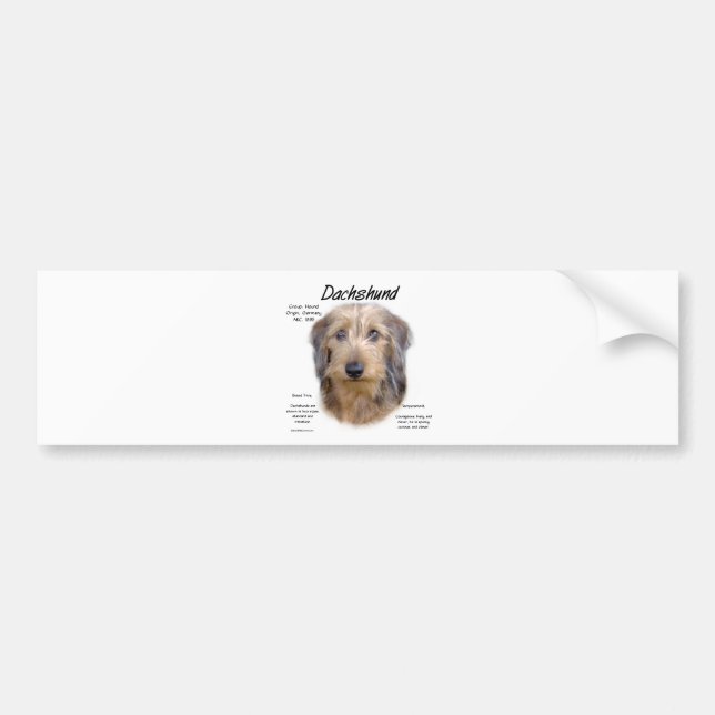 Pegatina Para Coche Diseño de historial de Dachshund (wirehair) (Frente)