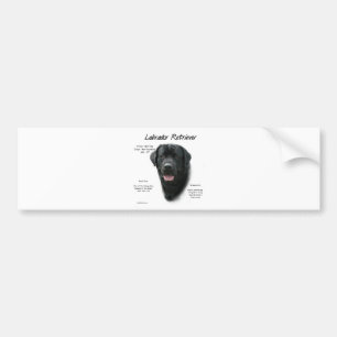 Pegatina Para Coche Diseño de historial de Labrador Retriever (blk)