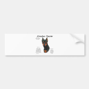 Pegatina Para Coche Diseño de historial de Pinscher en miniatura (negr