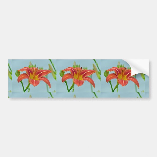 Pegatina Para Coche Ditch Lily (Frente)