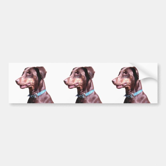 Pegatina Para Coche Doberman Pinscher Red (Frente)