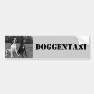 Pegatina Para Coche Dogge alemán, Great Dane, Arlequín, Taxi, Pegati