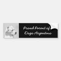 Dogo Argentino Painting - Original Dog Art