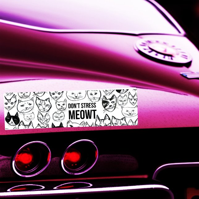 Pegatina Para Coche DONT STRESS MEOWT Cats divertidos (DONT STRESS MEOWT Funny Cats Hand-drawn cat lady Bumper Sticker
)