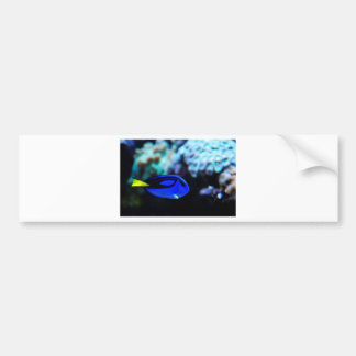 Pegatina Para Coche Dory, pescado azul de Tang