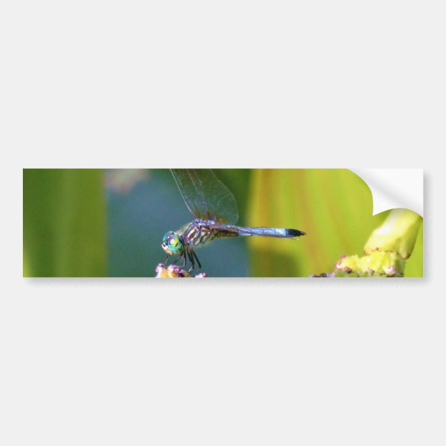 Pegatina Para Coche Dragón de ojos verde azulados (Frente)
