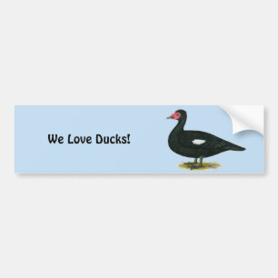 Pegatina Para Coche Drake negro Muscovy