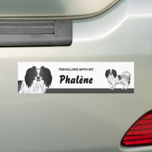 Pegatina Para Coche Dueño de perro Phalène negro y blanco lindo