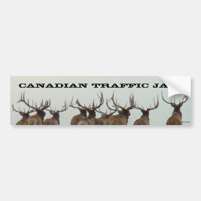 Pegatina Para Coche E17 en ejecución de toro (Frente)