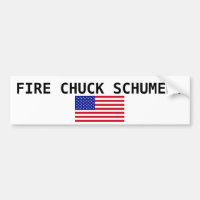 ¡E.E.U.U.-Bandera-Grande, TIRADA SCHUMER del