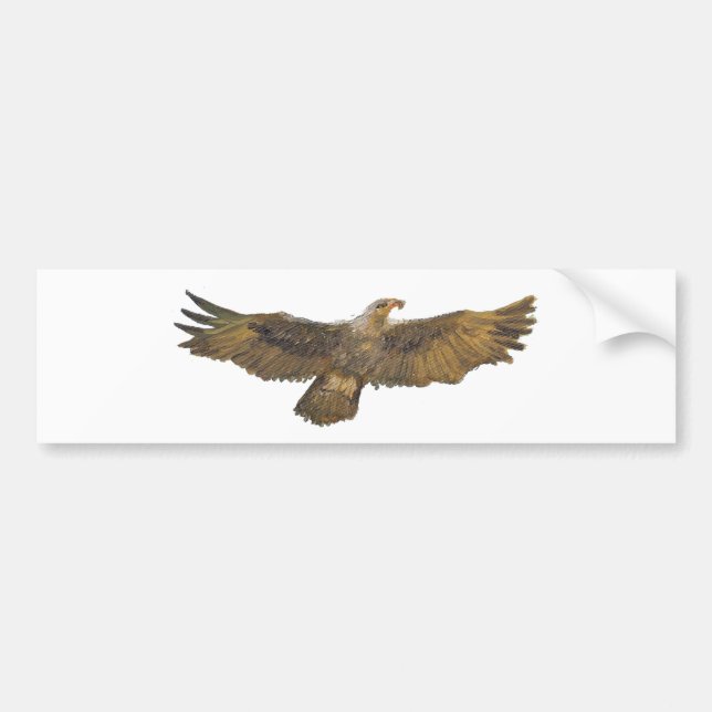 Pegatina Para Coche Eagle Eagle de oro Eagle calvo (Frente)