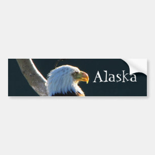 Pegatina Para Coche Eagle en la atención; Alaska