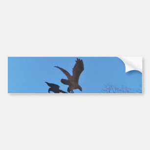 Pegatina Para Coche Eagle y Arrow Weather Vane cielo azul