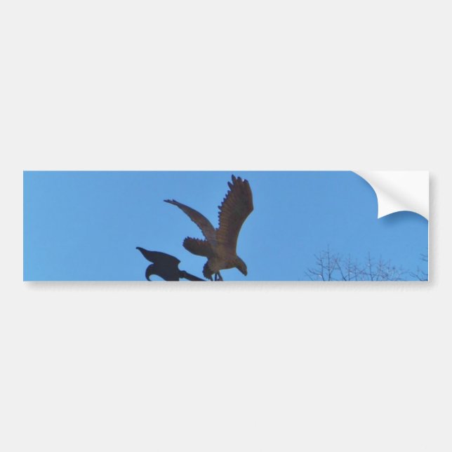 Pegatina Para Coche Eagle y Arrow Weather Vane cielo azul (Frente)