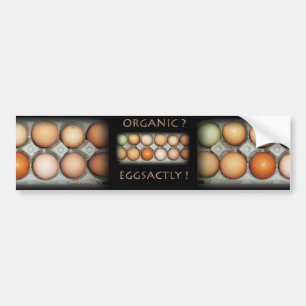 PEGATINA PARA COCHE EGGSACTLY