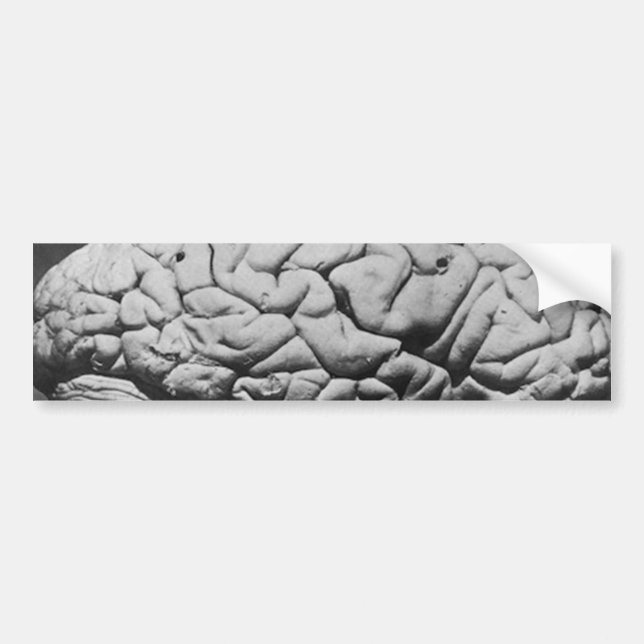 PEGATINA PARA COCHE EL CEREBRO DE CHARLES BABBAGE (1909) (Frente)