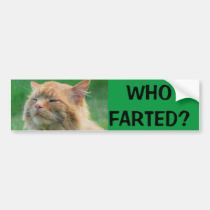 Pegatina Para Coche ¿El gatito anaranjado pregunta quién Farted?